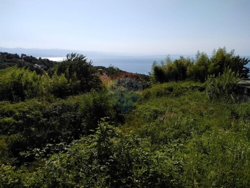 POLJANE - SVETI PETAR - GRAĐEVINSKI TEREN - 1.054 m2