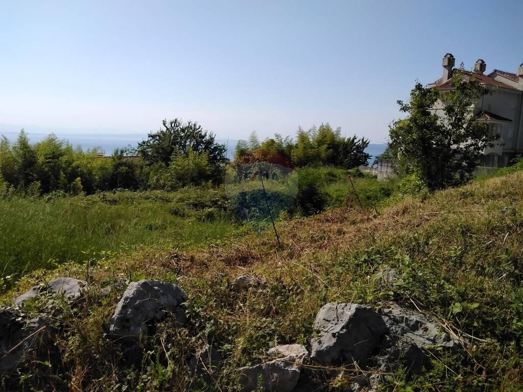 Image 5409959 - 2