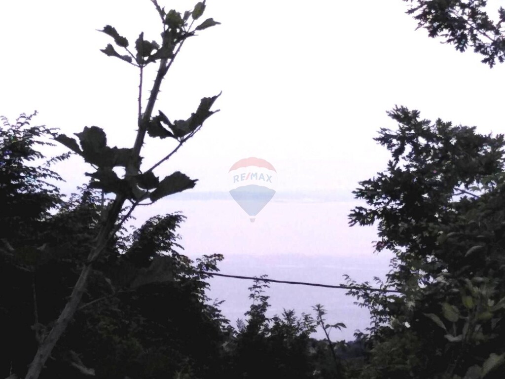 Image 5409969 - 6