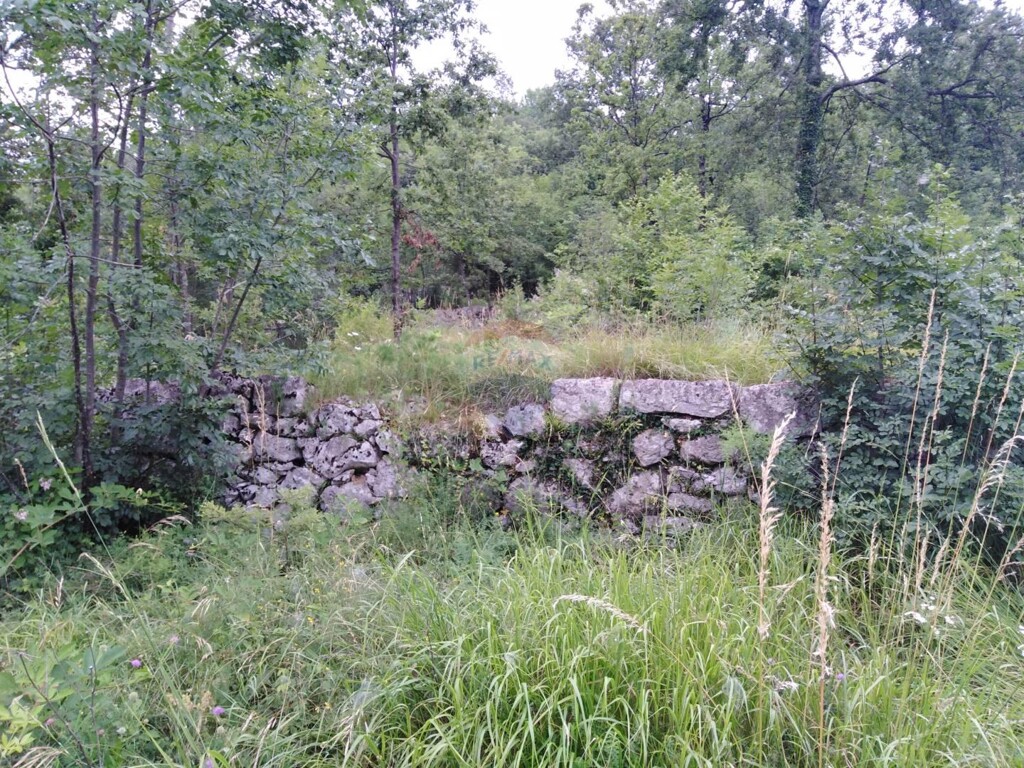 Image 5409969 - 5