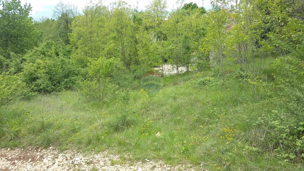 Image 5409982 - 1