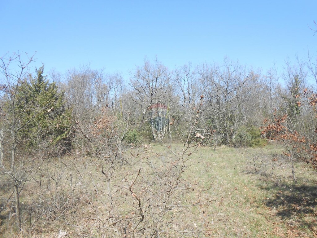 Image 5409985 - 2