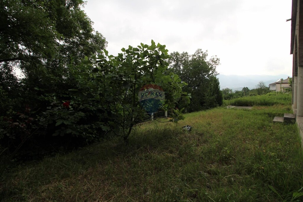 Image 5409989 - 7