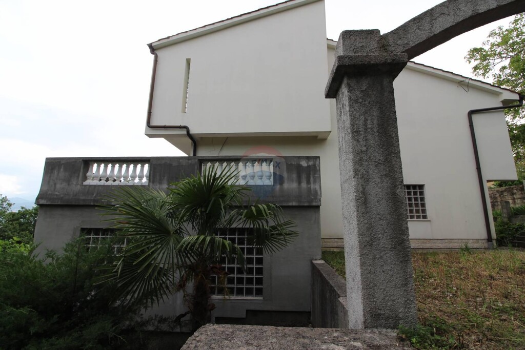 Image 5409989 - 2