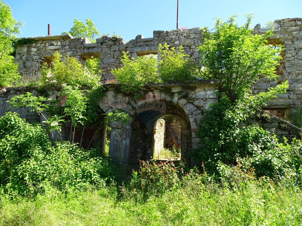 Image 5410002 - 3