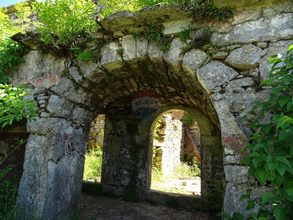 Image 5410002 - 4