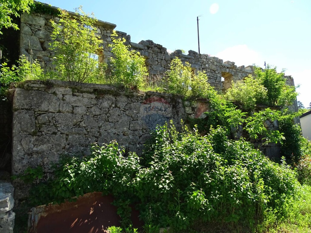 Image 5410002 - 5