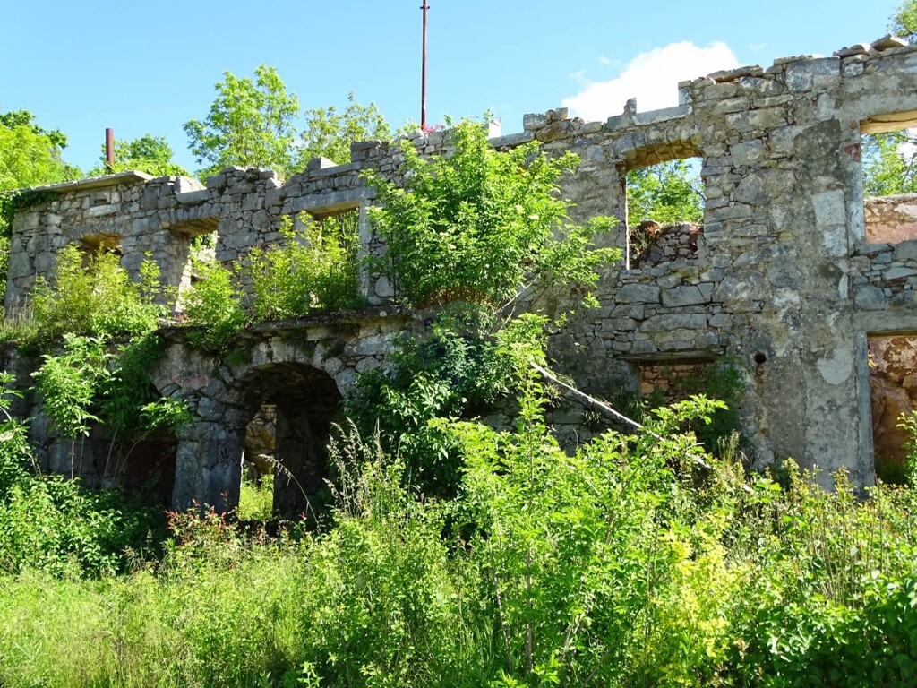 Image 5410002 - 2