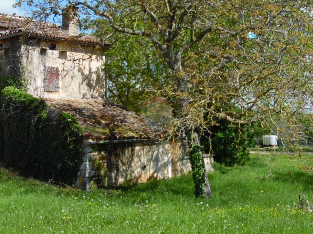 Image 5410004 - 10