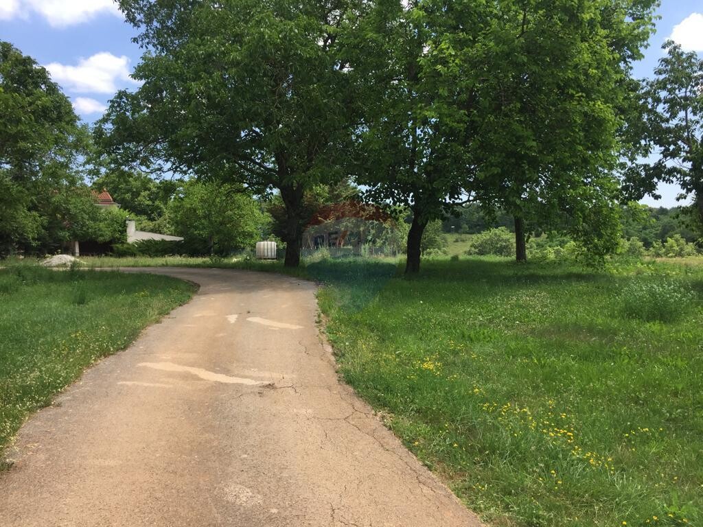 Image 5410004 - 3