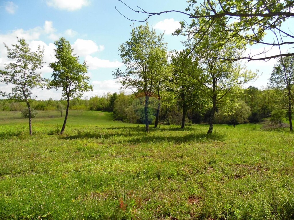 Image 5410004 - 12