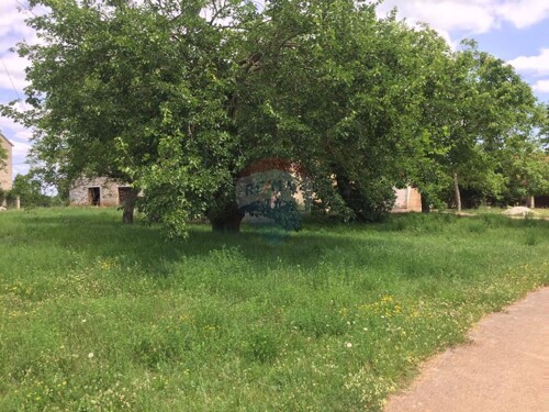 Istra,Sveti Vital ,kompleks građevinskih i poljoprivrednih