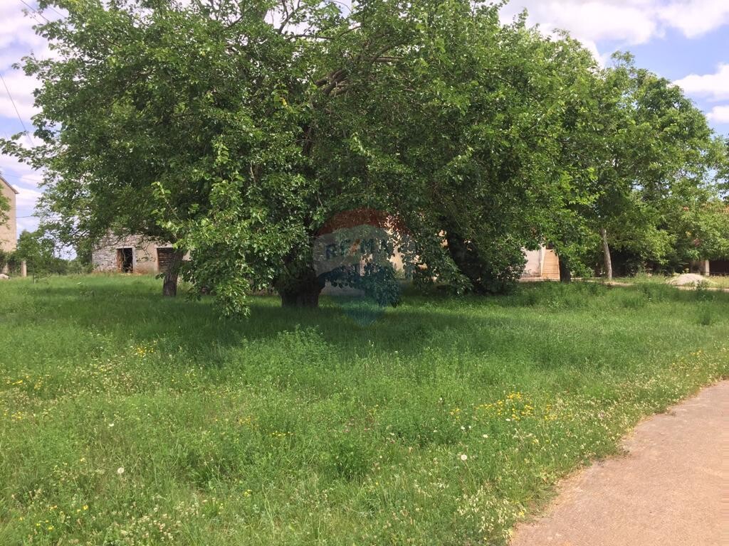 Image 5410004 - 2