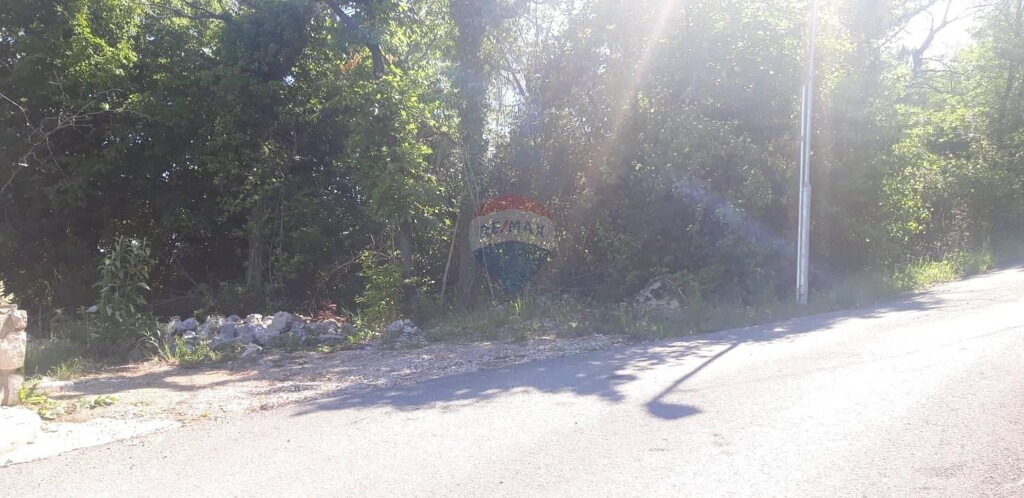 Image 5410005 - 4