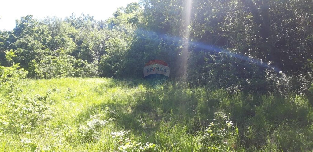 Image 5410005 - 2