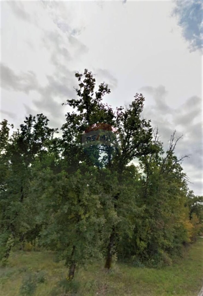 Image 5410007 - 14