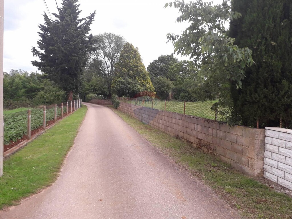 Image 5410009 - 1