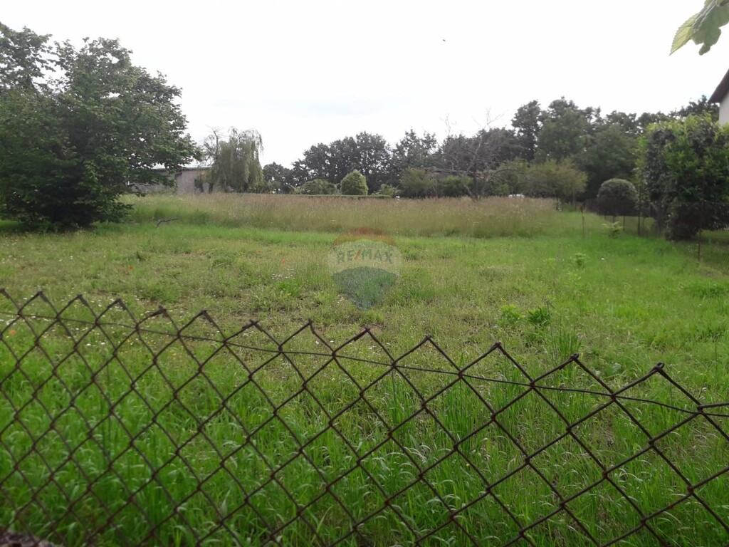 Image 5410009 - 4