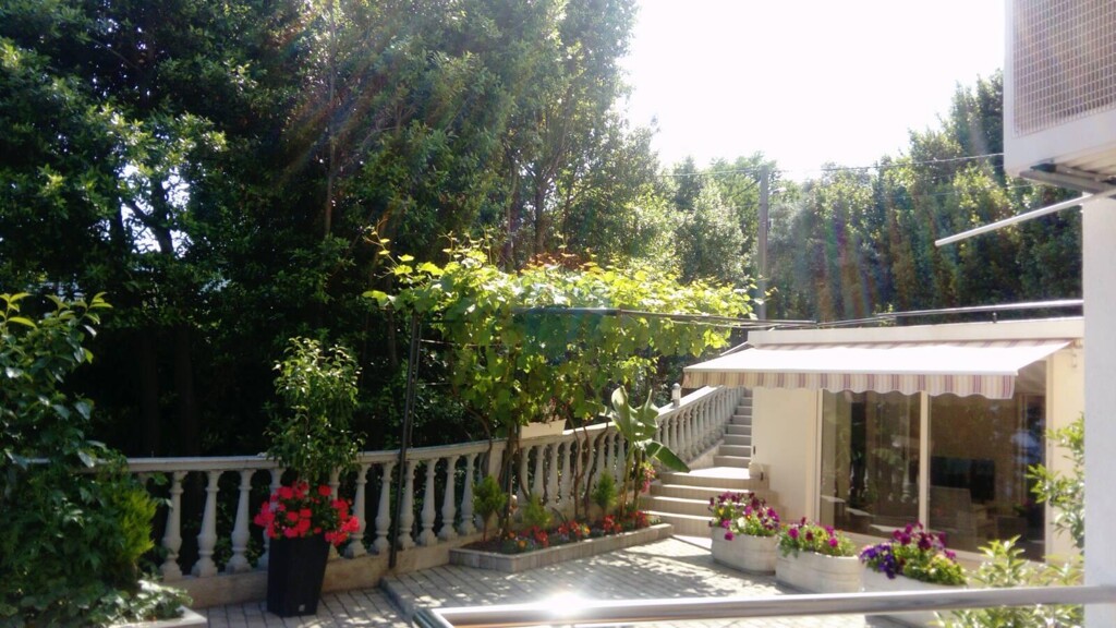 Image 5410012 - 8