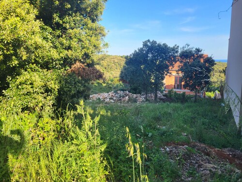 Istra, Duga Uvala, građevinsko zemljište za gradnju kuće s p