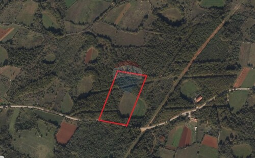 ISTRA, VODNJAN - Velika poljoprivredna parcela