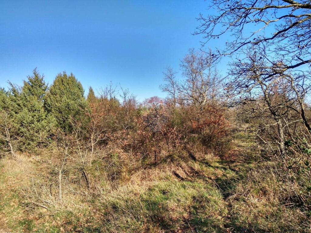 Image 5410034 - 3