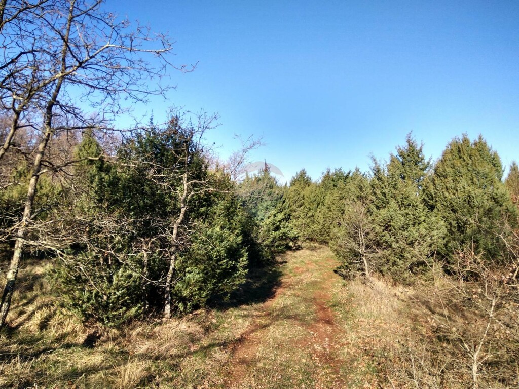 Image 5410034 - 1
