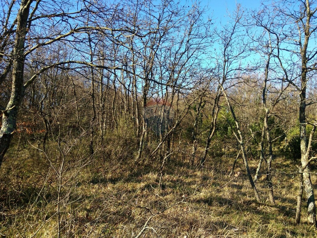 Image 5410034 - 2