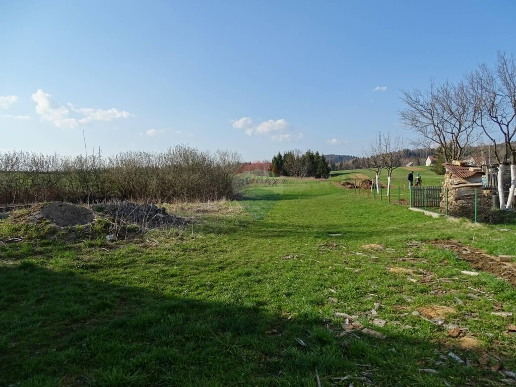 Image 5410041 - 2