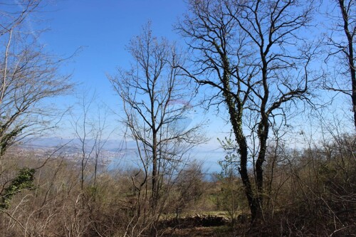 Bregi-Kožuli negrađevinsko zemljište 5562m/2