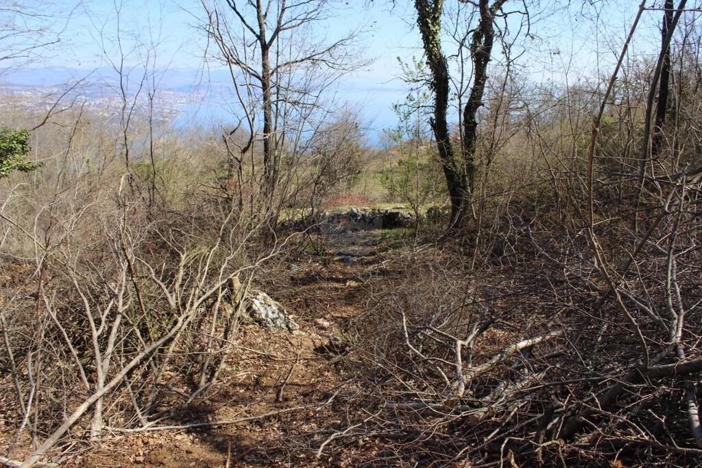 Image 5410043 - 4