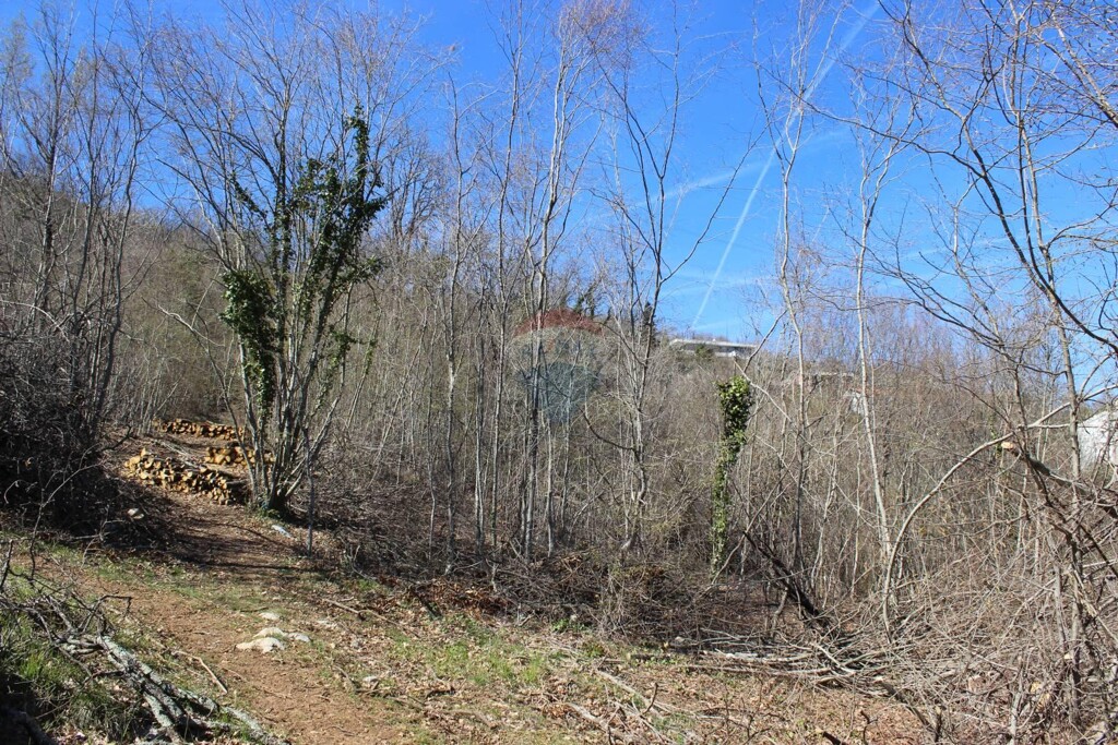 Image 5410043 - 5