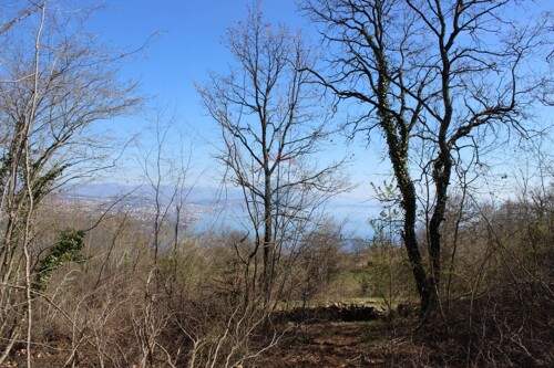 Bregi-Kožuli negrađevinsko zemljište 5562m/2