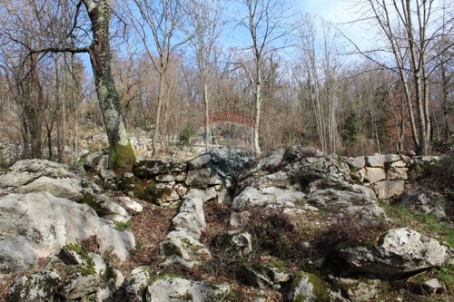 MATULJI - RUKAVAC - NEGRAĐEVINSKI TEREN 1101 m2