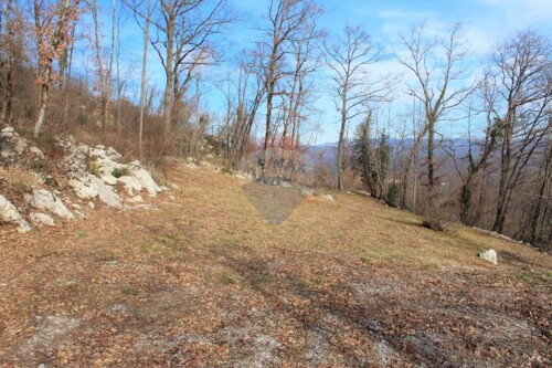 MATULJI - RUKAVAC - NEGRAĐEVINSKI TEREN 2349 m2 U BLIZINI NA