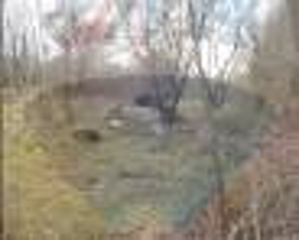 Image 5410113 - 6