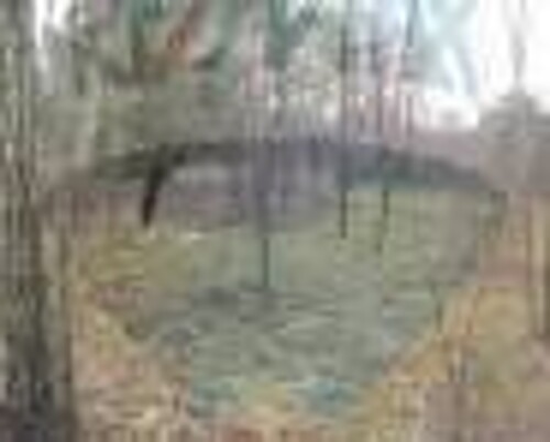 Thumbnail 5410113 - 4