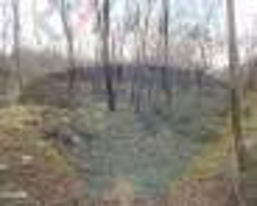 Image 5410113 - 2
