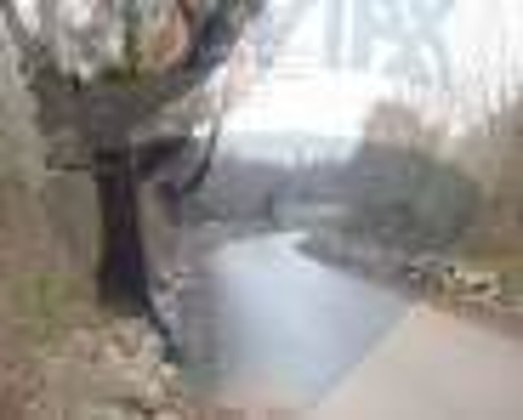Image 5410113 - 7