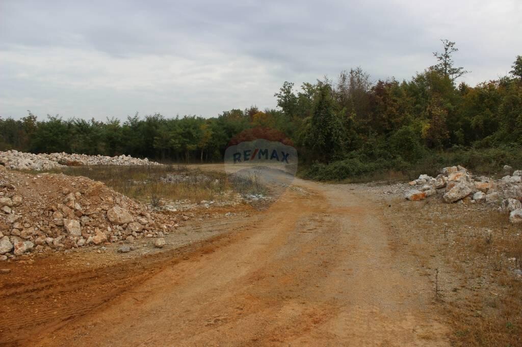 Image 5410148 - 3