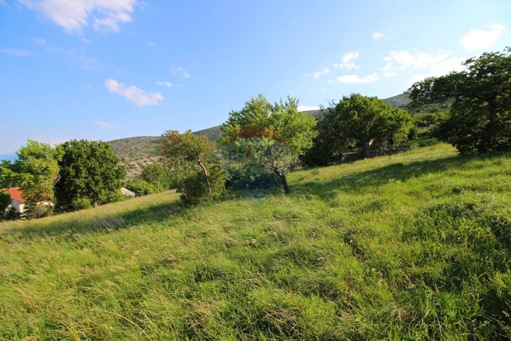 Image 5410160 - 5