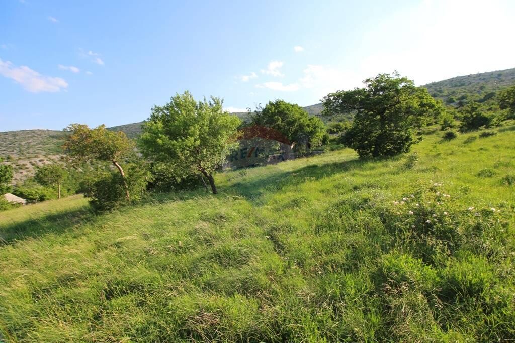 Image 5410160 - 6