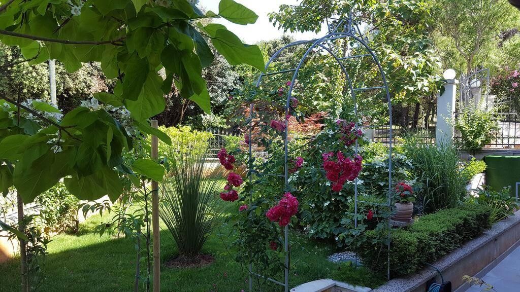 Image 5410168 - 4