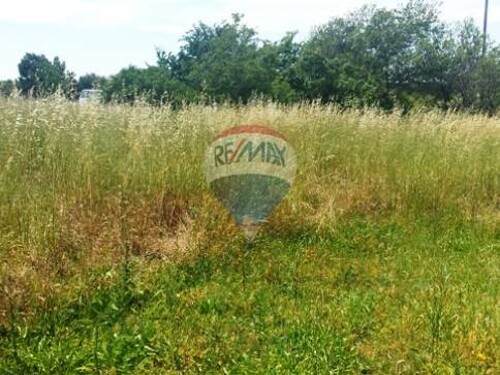 NEGRAĐEVINSKI TEREN 11136 m2 BLIZU HRELJIĆA - 2.5 €/m2