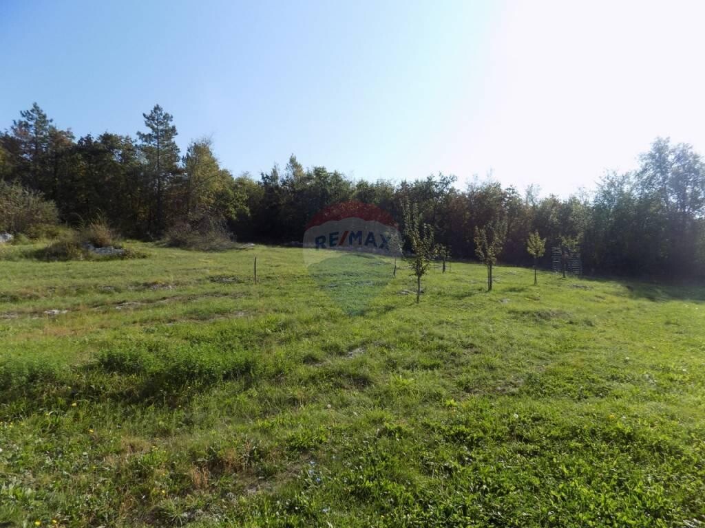 Image 5410175 - 8