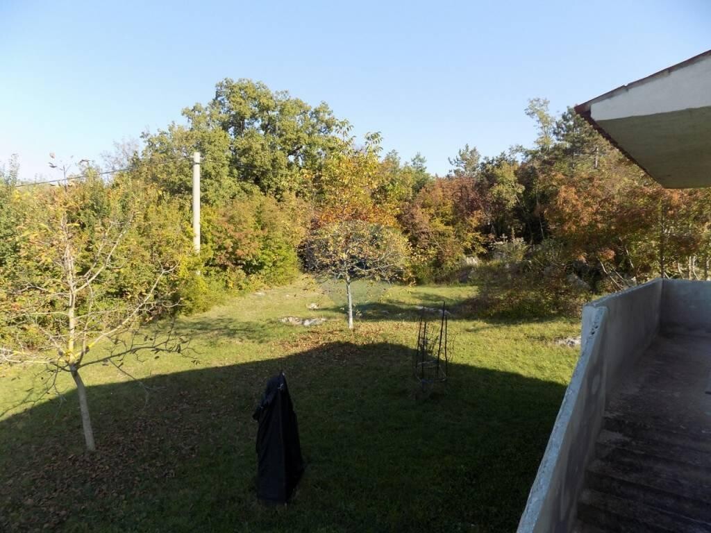 Image 5410175 - 24