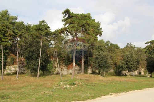 Vabriga, atraktivno građevinsko zemljište