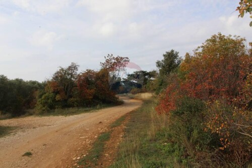 Thumbnail 5410176 - 5