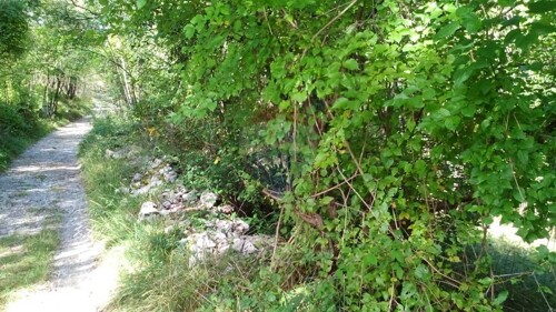 KASTAV, SPINČIĆI - NEGRAĐEVINSKI TEREN 8405 m2 NA LIJEPOJ LO
