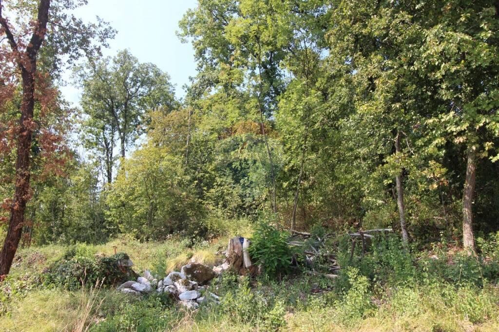 Image 5410214 - 4